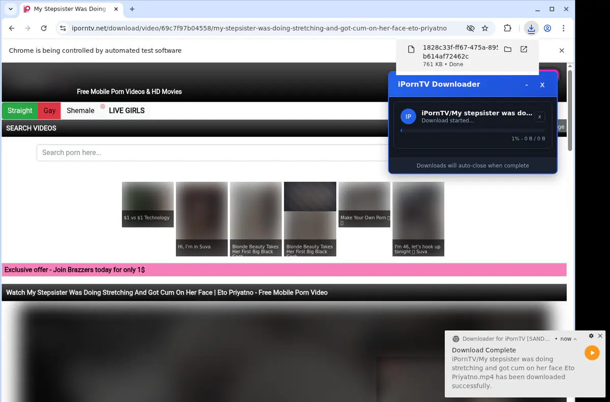 Iporntv Video Downloader browser extension screenshot 2