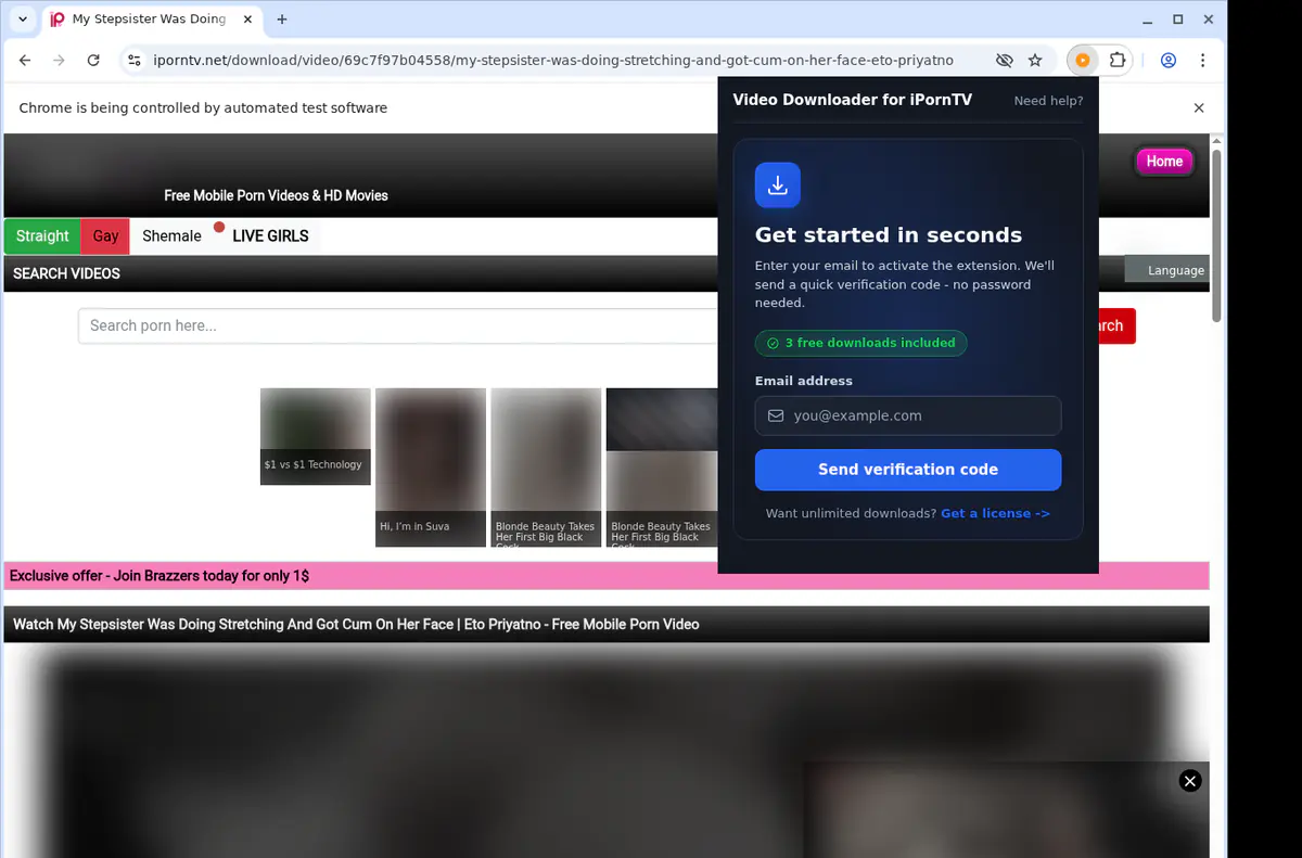 Iporntv Video Downloader browser extension screenshot 5